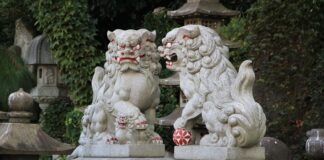 Shisa: Guardian Lions of Okinawa Shisa in Okinawa - Guardian Lions