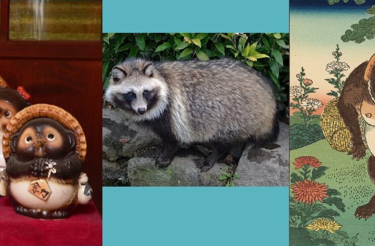 Tanuki Japanese Folklore Racoon Dog